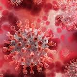 Memorial Service at Monument of Tolerance exclusively virtual