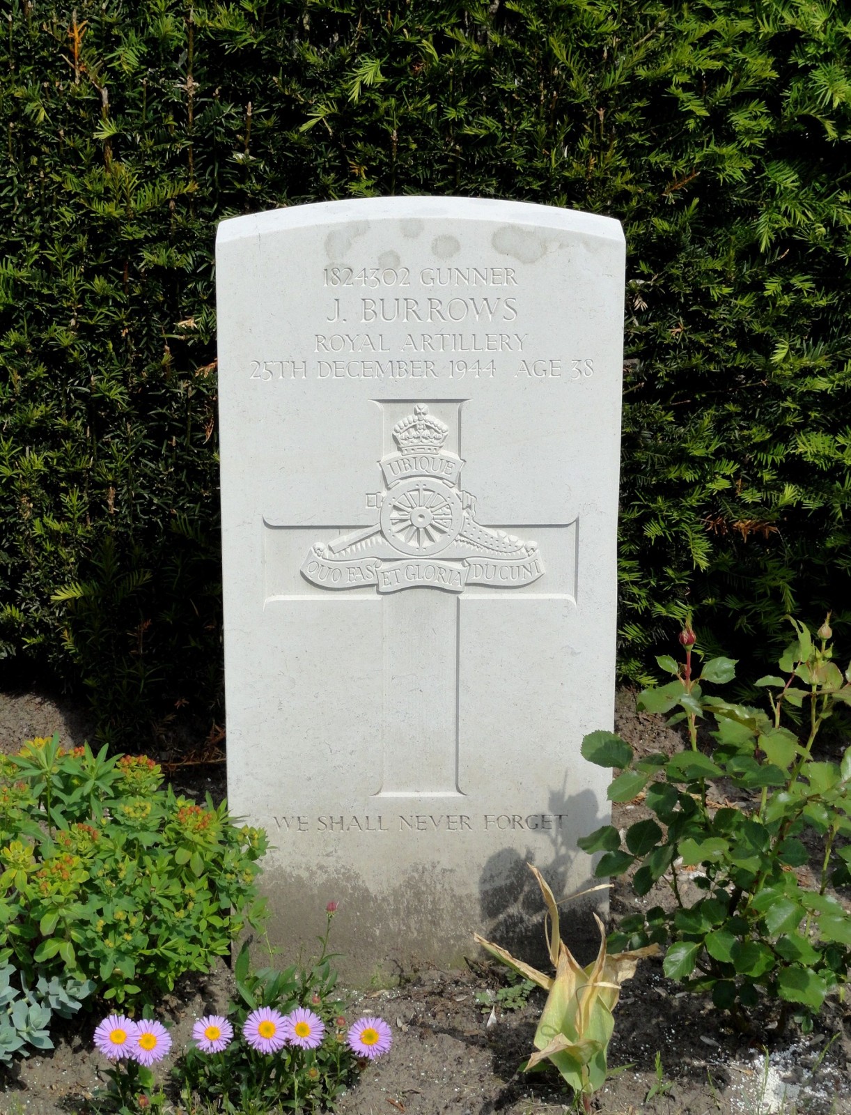 Joseph Burrows Joseph Burrows