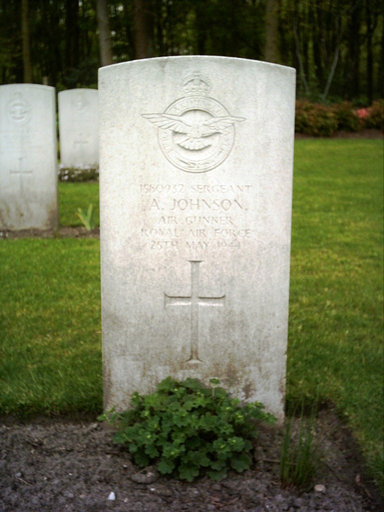 Albert Johnson Albert Johnson