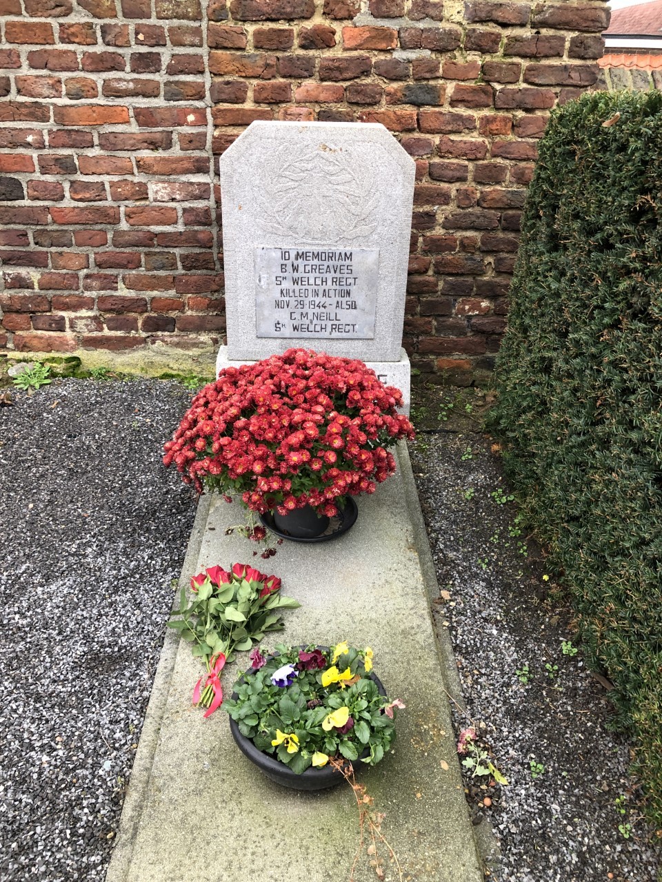 Graham McNeil Graham McNeil