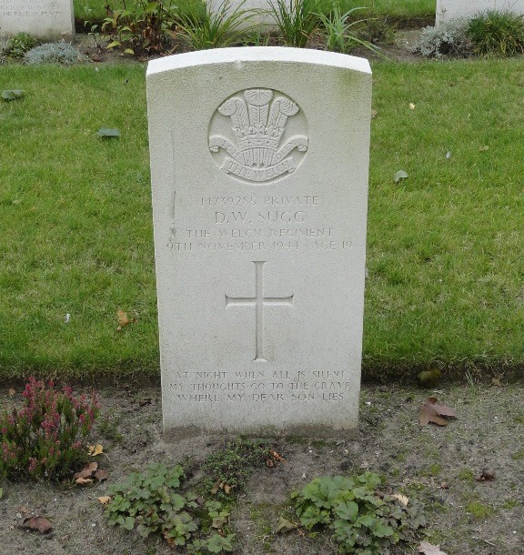 David William Sugg David William Sugg